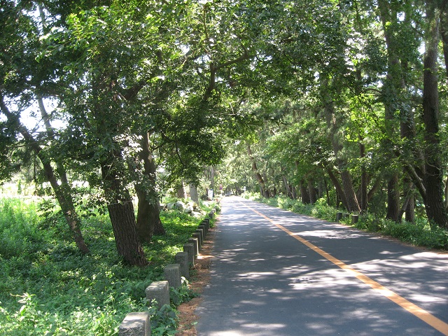 �V�΂̐X�̒��͗t�������΂�A�ؘR������󂯂�ῂ����P���Ă��܂��B